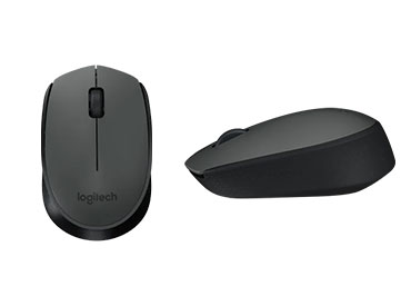 Logitech Wireless Combo MK235 Teclado y Mouse