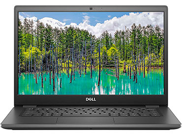 Notebook DELL Latitude 3410 - Intel® Core™ i5-10210U - 4GB - 1TB - 14" - Ubuntu