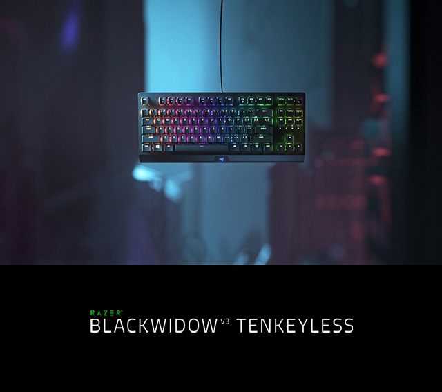 Razer BlackWidow V3 Tenkeyless Hero Image