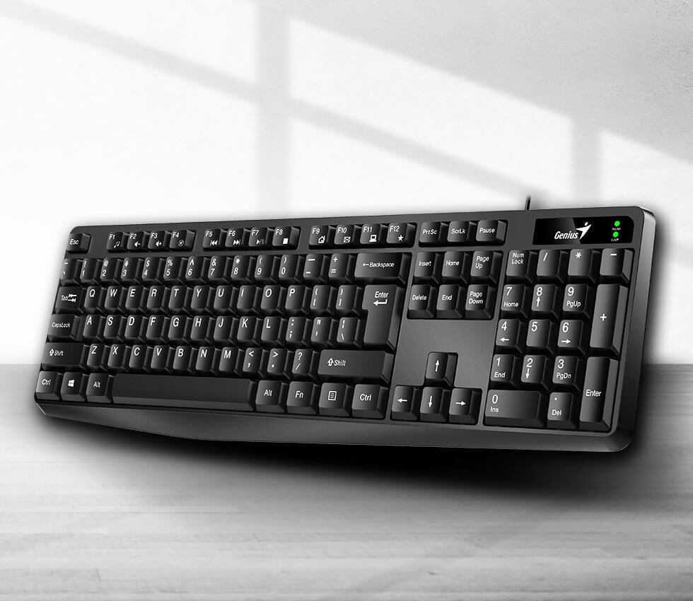 Teclado Genius KB-117 color negro