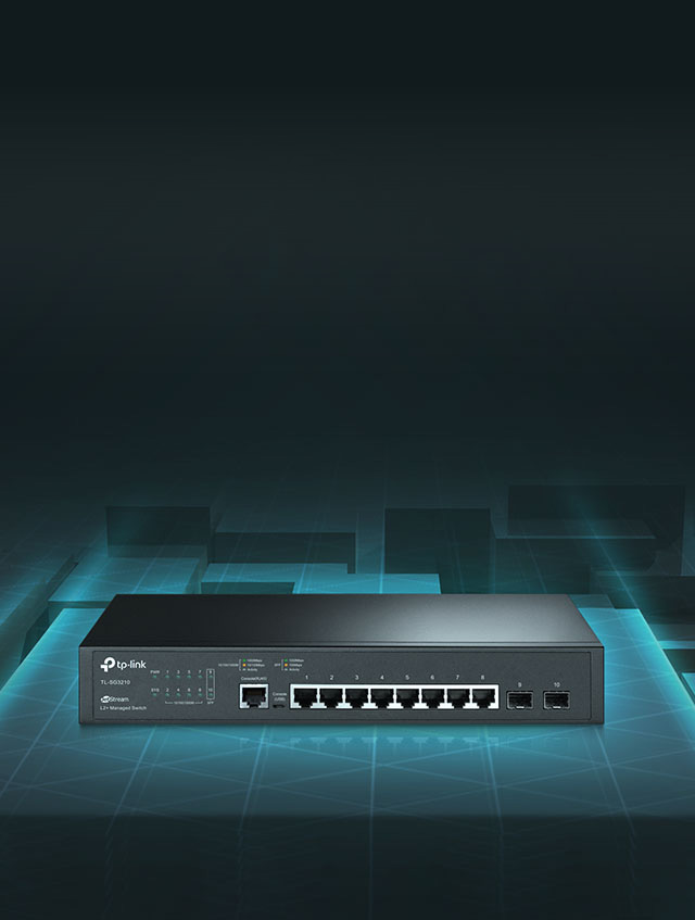 TL-SG3210 Hero Image