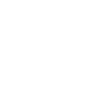 Funciones avanzadas de L2+ Icon