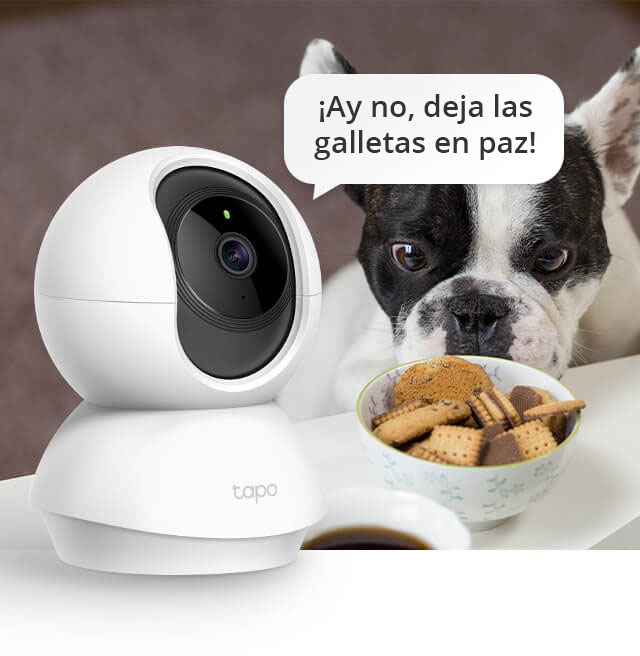 Vista en vivo y audio bidireccional