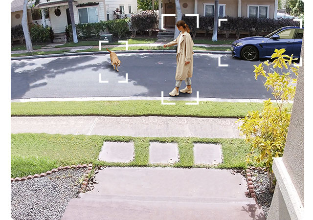 Detección Inteligente IA con Notificaciones