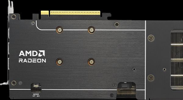 Placa Posterior Protectora