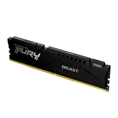 Memoria RAM Kingston FURY Beast DDR5