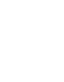 triforce drivers logo