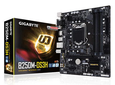 Mother Gigabyte GA-B250M-DS3H Socket 1151