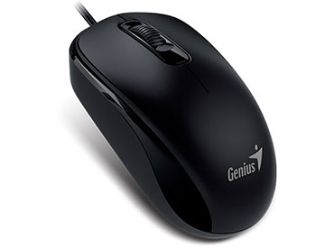 Mouse Genius DX-110 USB Negro