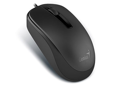 Mouse Genius DX-120 USB Negro