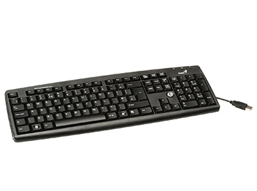 Teclado en Español Genius KB-06xe USB negro