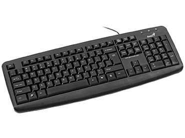 Teclado Genius KB-110X PS/2 Negro