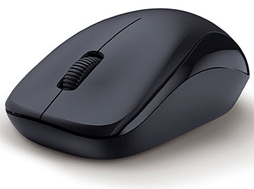 Mouse Genius NX-7000 BlueEye Inalambrico