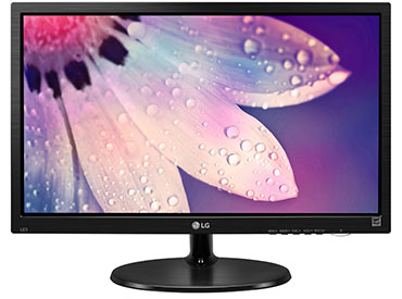 Monitor LG LED 19M38L-B de 18,5