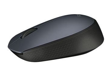 Mouse Logitech Wireless M170 Negro