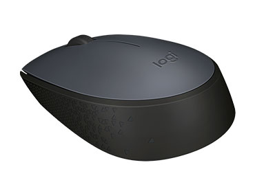 Mouse Logitech Wireless M170 Negro