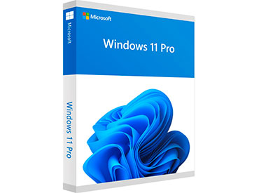 Microsoft Windows 11 Professional 64 bits OEM