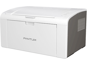 Impresora Monocromática Láser Pantum P2509W