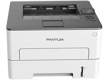Impresora Monocromática Láser Pantum P3010DW